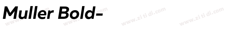 Muller Bold字体转换